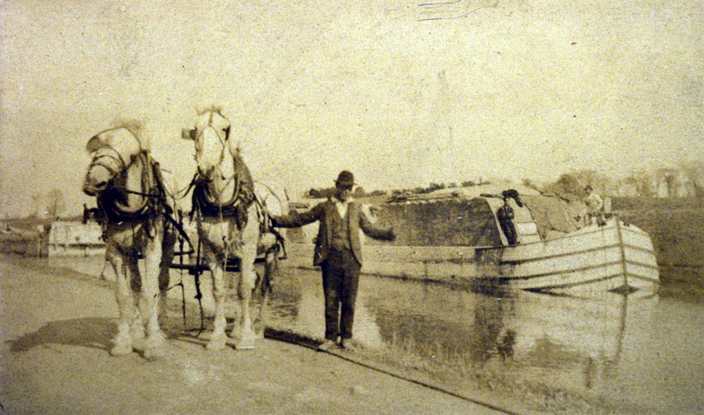 Image1